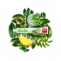 Preview: SPLAT ORGANIC Zahnpasta 75 ml